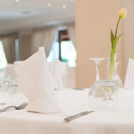 精华大酒店 3* 卡夏