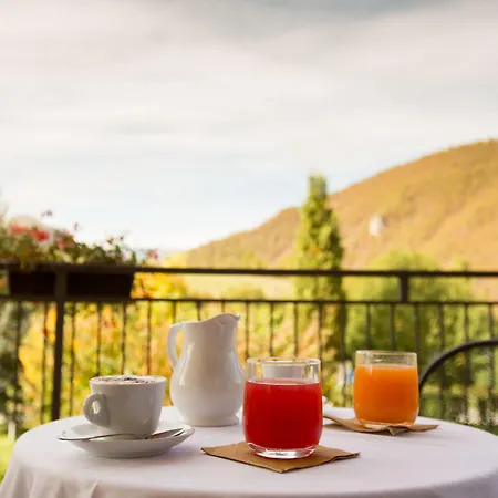 酒店 精华大酒店 3*